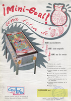 Flyer Mini-Goal