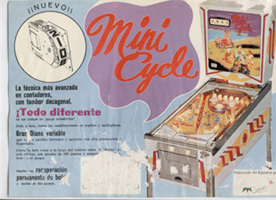 Flyer Mini Cycle