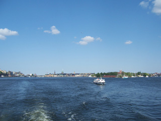 Heron City 1