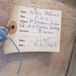 Documento · Fecha autorización: 1962